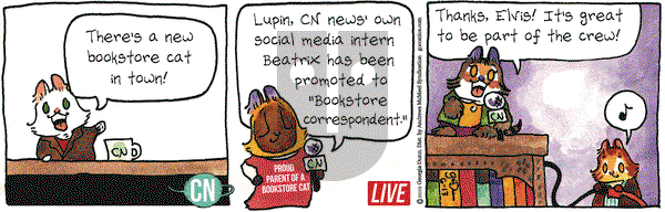 Breaking Cat News on Monday June 17, 2019 Comic Strip