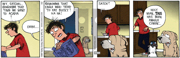 Get Fuzzy on Thursday July 2, 2015 Comic Strip