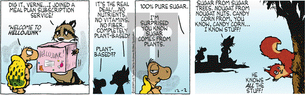 Over the Hedge on Wednesday December 2, 2020 Comic Strip