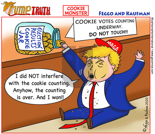 Views of the World on Wednesday November 4, 2020 Comic Strip
