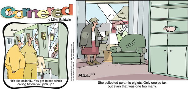 Cornered on Sunday November 24, 2013 Comic Strip