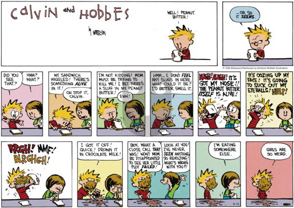 Calvin and Hobbes - Sunday September 15, 2024 Comic Strip