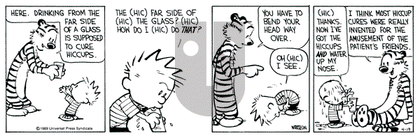Calvin and Hobbes on Wednesday April 19, 1989 Comic Strip