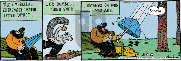 Overboard on Wednesday November 12, 2025 Comic Strip