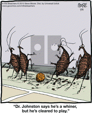 In the Bleachers on Monday January 19, 2015 Comic Strip
