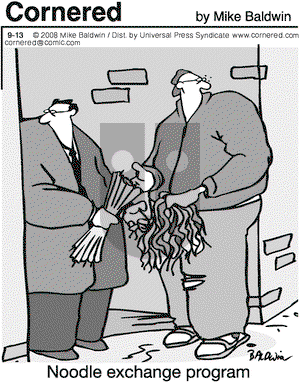 Cornered on Sunday December 14, 2008 Comic Strip