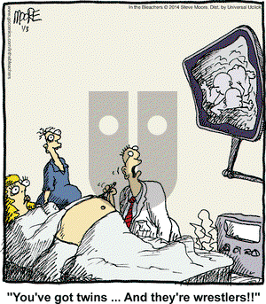 In the Bleachers on Friday January 3, 2014 Comic Strip