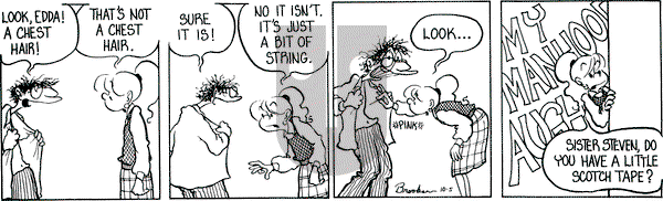 9 Chickweed Lane on Tuesday October 5, 1993 Comic Strip