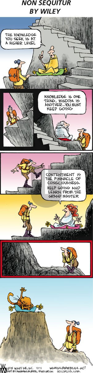 Non Sequitur on Sunday December 15, 2019 Comic Strip