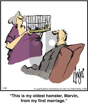 Herman - Wednesday January 30, 2008 Comic Strip