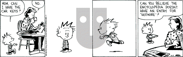 Calvin and Hobbes - Thursday June 17, 1993 Comic Strip