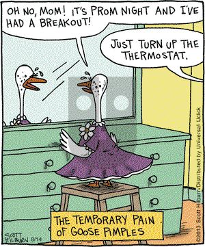 The Argyle Sweater on Wednesday August 14, 2013 Comic Strip