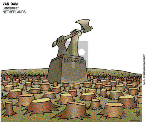 ViewsLatinAmerica on Friday August 16, 2019 Comic Strip
