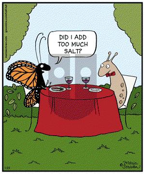 Half Full - Tuesday January 28, 2014 Comic Strip