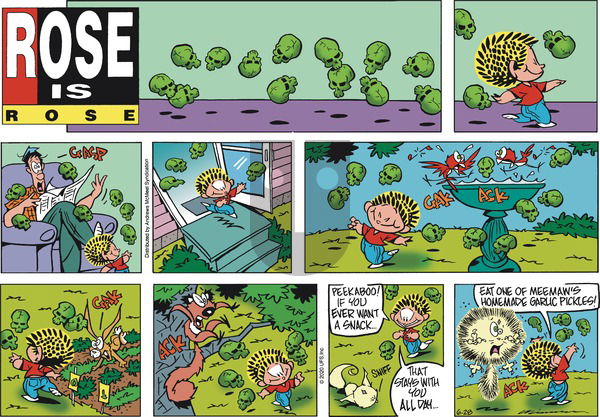 Rose is Rose on Sunday June 28, 2020 Comic Strip