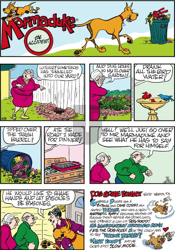 Marmaduke on Sunday February 23, 2014 Comic Strip