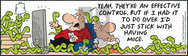 Frank and Ernest on Wednesday January 31, 2018 Comic Strip