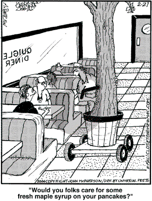 Close to Home on Monday February 27, 2006 Comic Strip