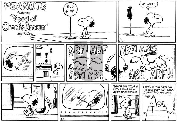 Peanuts on Sunday March 3, 1974 Comic Strip