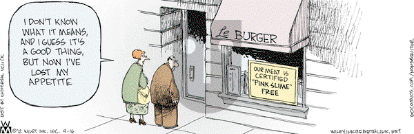 Non Sequitur - Monday April 16, 2012 Comic Strip