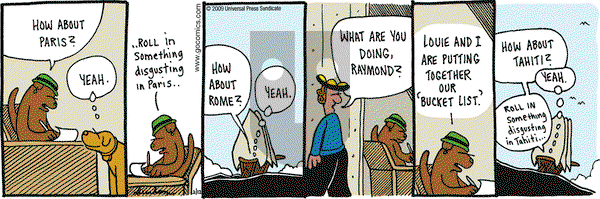 Overboard on Thursday February 12, 2009 Comic Strip