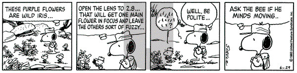 Peanuts on Wednesday June 29, 1983 Comic Strip