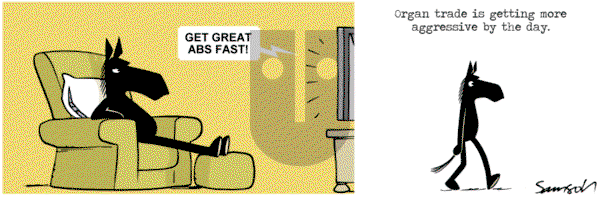 Dark Side of the Horse on Thursday August 8, 2013 Comic Strip