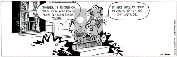 Calvin and Hobbes on Friday August 18, 1995 Comic Strip