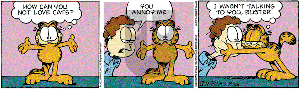 Garfield on Sunday December 22, 2002 Comic Strip