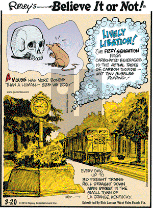 Ripley's Believe It or Not on Friday March 20, 2015 Comic Strip