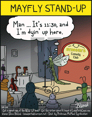 Loose Parts on Monday October 20, 2025 Comic Strip