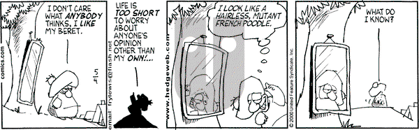 Over the Hedge on Friday May 5, 2000 Comic Strip