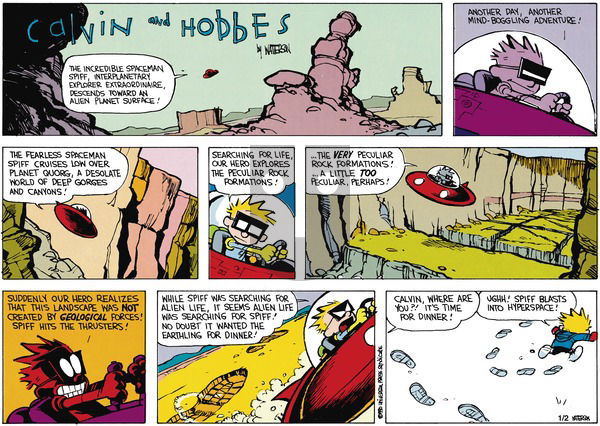 Calvin and Hobbes on Sunday February 18, 1990 Comic Strip