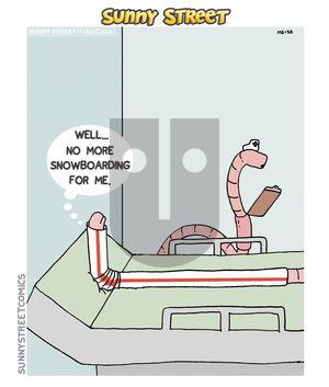 Sunny Street on Tuesday November 29, 2016 Comic Strip