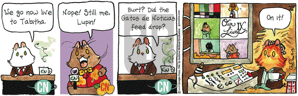 Breaking Cat News on Saturday September 15, 2018 Comic Strip