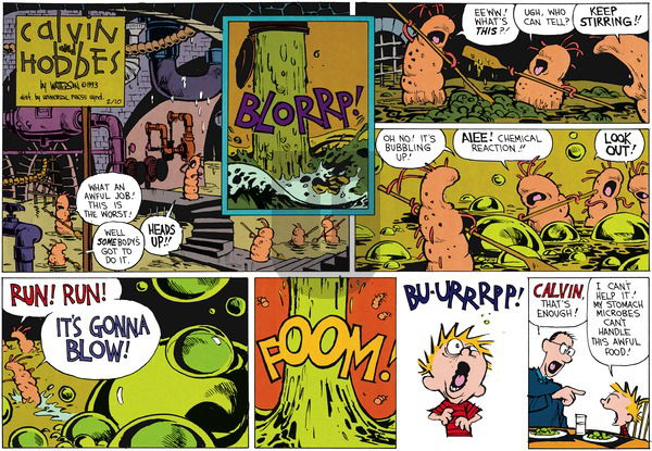 Calvin and Hobbes - Sunday February 10, 2013 Comic Strip