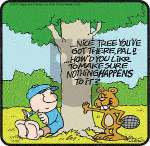 Ziggy on Tuesday November 18, 2014 Comic Strip