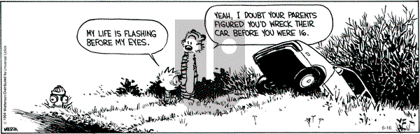 Calvin and Hobbes - Monday June 16, 2014 Comic Strip