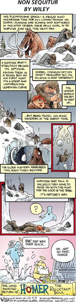 Non Sequitur on Sunday May 31, 2020 Comic Strip