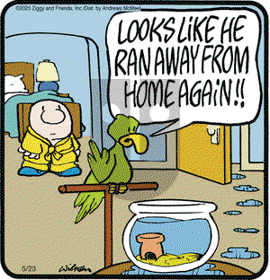 Ziggy on Friday May 23, 2025 Comic Strip