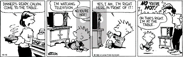 Calvin and Hobbes - Wednesday October 16, 1991 Comic Strip