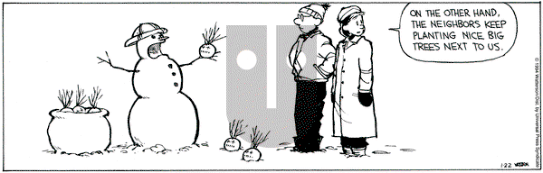 Calvin and Hobbes on Saturday January 22, 1994 Comic Strip