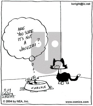Kit 'N' Carlyle on Saturday May 29, 2004 Comic Strip