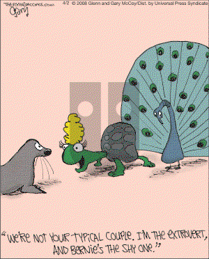 The Flying McCoys on Wednesday April 2, 2008 Comic Strip