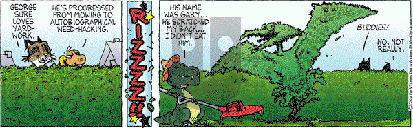 Over the Hedge on Monday July 13, 2020 Comic Strip