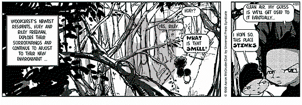 The Boondocks - Tuesday April 20, 1999 Comic Strip