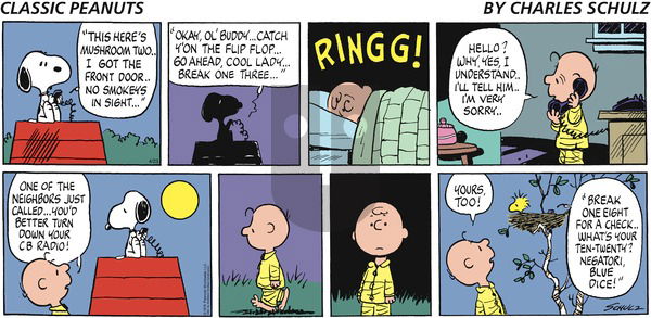 Peanuts - Sunday April 23, 2023 Comic Strip