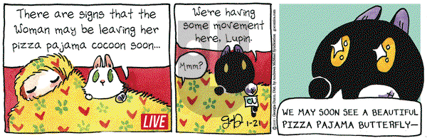 Breaking Cat News on Thursday January 21, 2021 Comic Strip