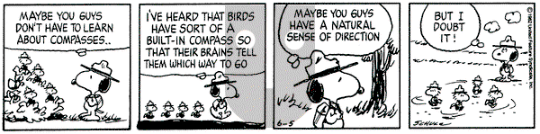 Peanuts on Saturday June 5, 1982 Comic Strip