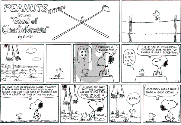 Peanuts - Sunday September 3, 1972 Comic Strip